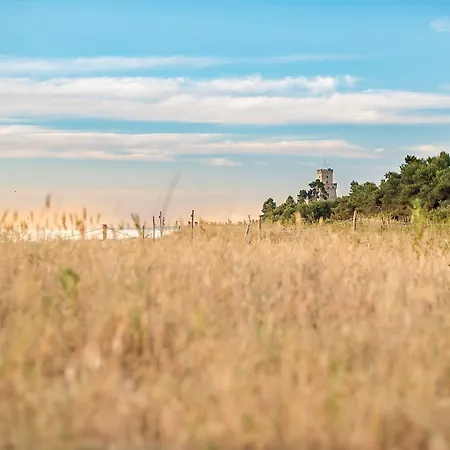 Marine B16 Silvi Silvi Marina