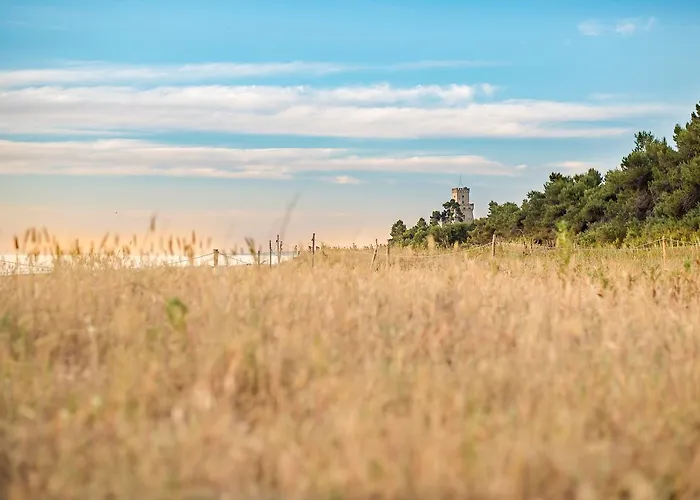 Marine B16 Silvi سيلفي مارينا